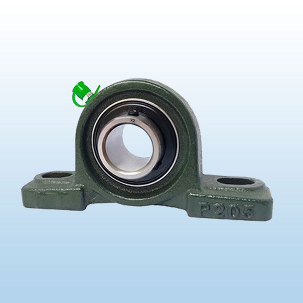 UCP 300